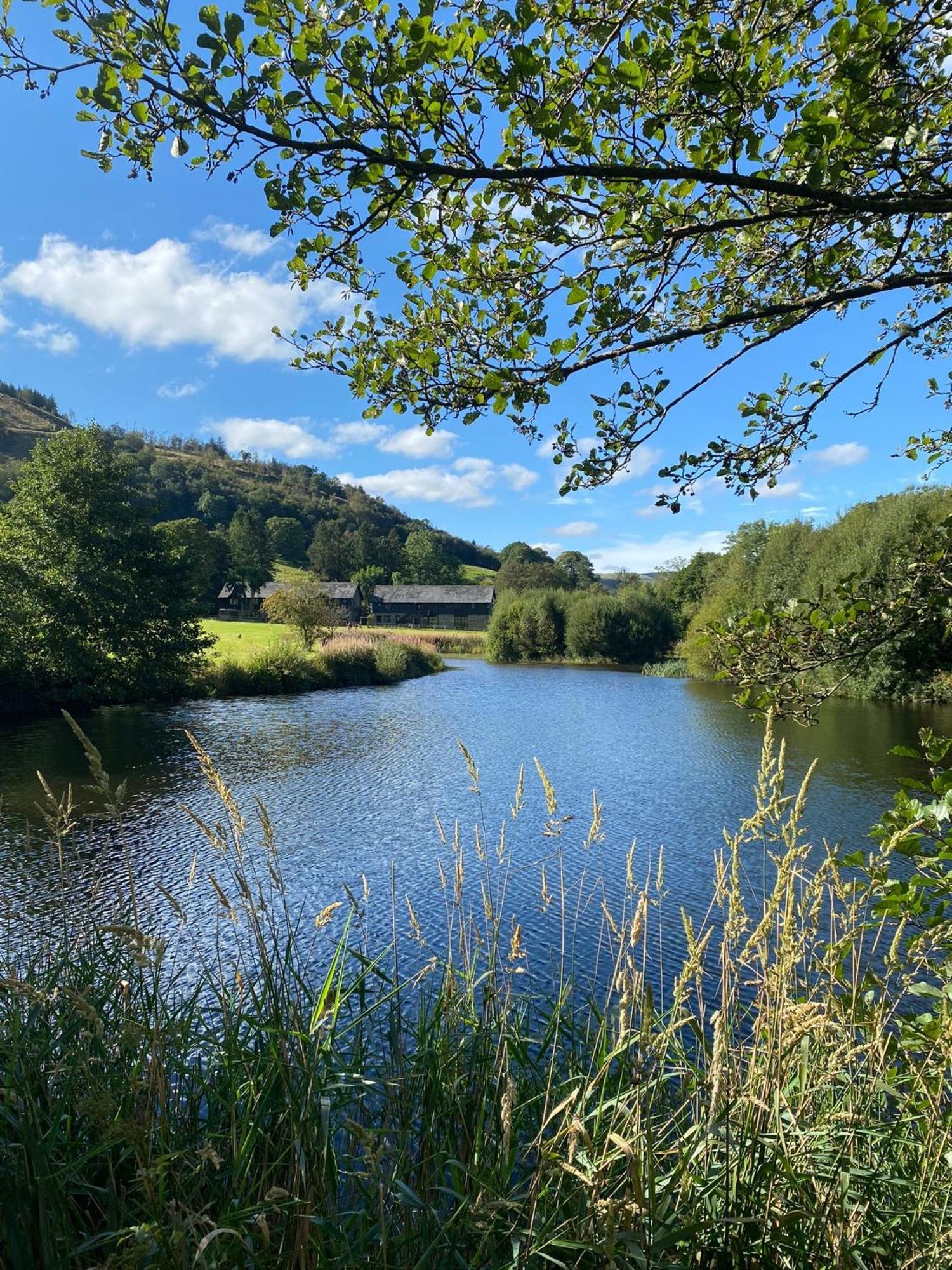 Lake Cottages At Cwm Chwefru Llanafan-fawr Buitenkant foto